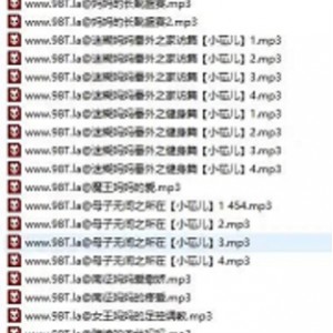 母系音声优质典藏594部29.1G深夜加油站